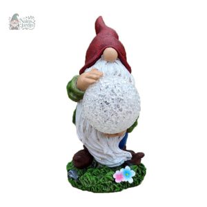 Nain de jardin lumineux pour embellir votre jardin