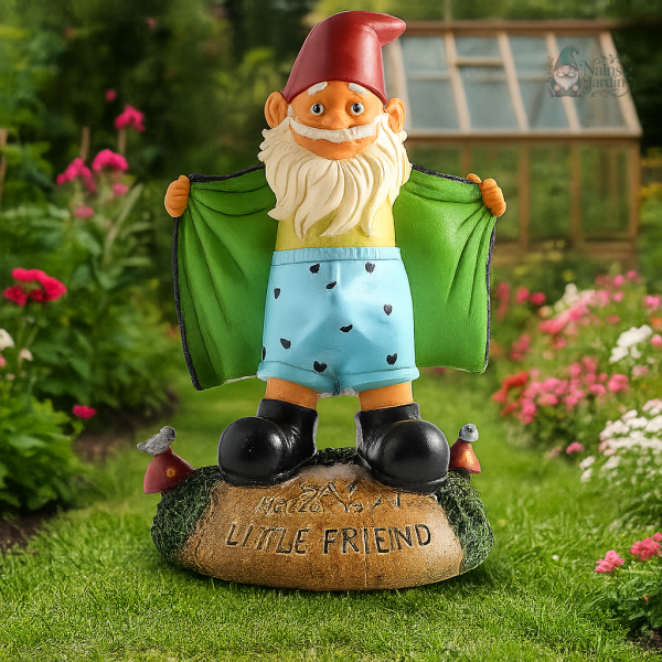 Nain de jardin décoratif lubrique en résine colorée