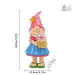 Nain de jardin éclatant pour extérieur