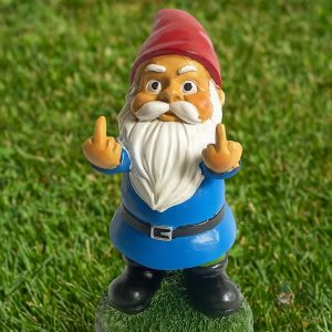 Nain de jardin Projet x en promotion